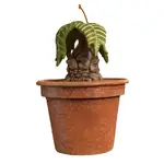 2025 Hallmark Keepsake Ornament - Harry Potter Mandrake with Sound