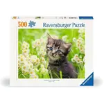 Ravensburger Puzzle 500pc - Kitten in the Meadow