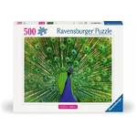 Ravensburger Puzzle 500pc - Peacock