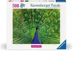 Ravensburger Puzzle 500pc - Peacock