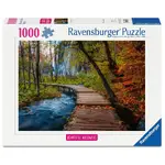Ravensburger Puzzle 1000pc - Autumnal Forest Path