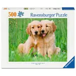 Ravensburger Puzzle 500pc - The Golden Retriever Brothers