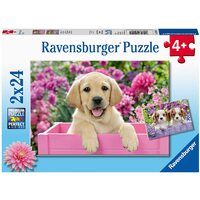 Ravensburger Puzzle 2 x 24pc - Me and My Pal