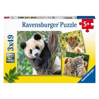 Ravensburger Puzzle 3x49pc - Panda, Lion and Tiger