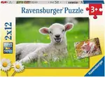 Ravensburger Puzzle 2x12pc - Farm Animals