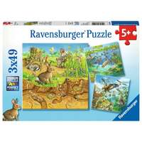 Ravensburger Puzzle 3 x 49pc - Animals In Their Habitats