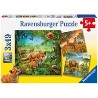 Ravensburger Puzzle 3 x 49pc - Animals Of The Earth