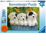 Ravensburger Puzzle 200pc XXL - Cuddly Puppies