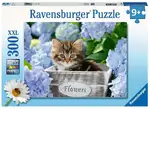 Ravensburger Puzzle 300pc XXL - Tortoiseshell Kitty