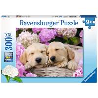 Ravensburger Puzzle 300pc XXL - Sweet Dogs In A Basket