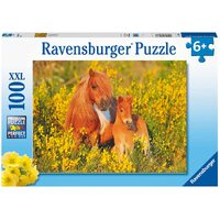 Ravensburger Puzzle 100pc XXL - Shetland Ponies