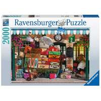 Ravensburger Puzzle 2000pc - Traveling Light