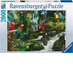 Ravensburger Puzzle 2000pc - Parrots Paradise