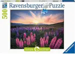 Ravensburger Puzzle 500pc - Lupines