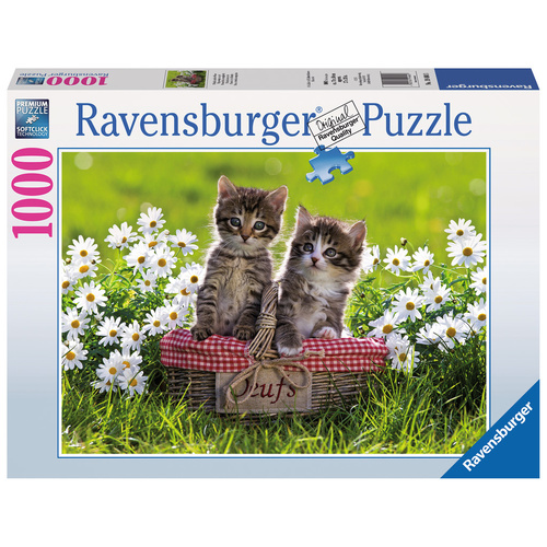 Ravensburger Puzzle 1000pc - Picnic In The Meadow