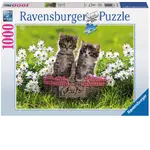 Ravensburger Puzzle 1000pc - Picnic In The Meadow