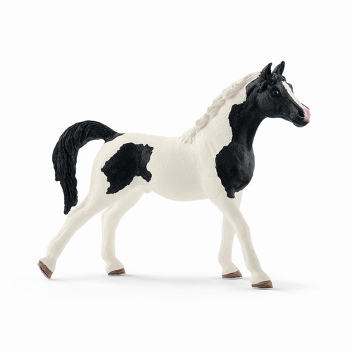 Schleich Horse Club - Pintabian Stallion