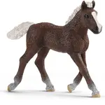 Schleich Farm World - Black Forest Foal