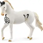 Schleich Horse Club - Marwari Stallion