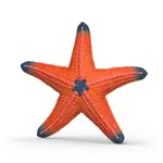 Schleich Wild Life - Starfish with Colour Change
