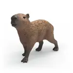 Schleich - Capybara