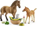 Schleich Horse Club - Horse Club Sarah’s Baby Animal Care