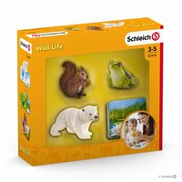 Schleich Wild Life - Wild Life Flash Cards