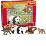 Schleich Wild Life - Asia Starter Set