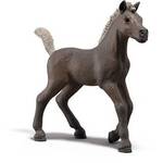 Schleich Horse Club Collectibles - Foal Darcy