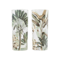 Exotic Highball Glasses Set Of 2