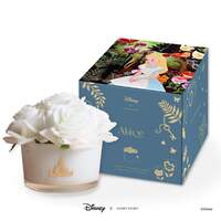 Disney X Short Story Floral Diffuser - Alice In Wonderland