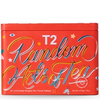 T2 Christmas Teabags x20 Feature Tin Pack - Random Acts Of Tea 