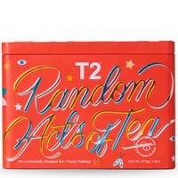 T2 Christmas Teabags x20 Feature Tin Pack - Random Acts Of Tea