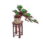 Rolife Wooden Model - DIY 3D Wooden Puzzle Evergreen Pine Bonsai
