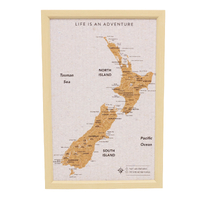 New Zealand Travel Pin Board by Splosh - Small