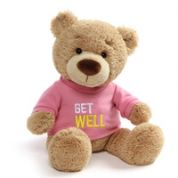 Gund Bears - Get Well Soon Pink