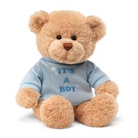 Gund Message Bear - Its A Boy