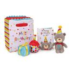 Gund Playset - My First Birthday