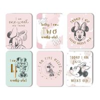 Disney Mickey & Minnie By Widdop And Co Milestone Cards: Minnie Mouse Set of 24