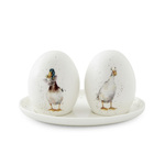 Royal Worcester Wrendale Designs Salt and Pepper Set - 'Not a Daisy Goes By' Ducks