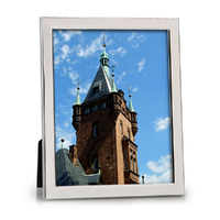 Whitehill Frames - Silver Plated Leo Photo Frame 8x10"