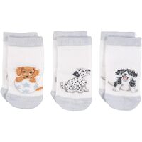 Wrendale Designs - Little Paws Baby Socks Set of 3 (6-12 Months)