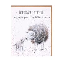 Wrendale Designs Greeting Card - Congratulations on your precious little lamb