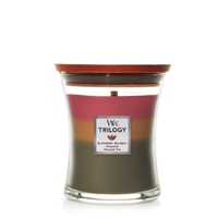 WoodWick Medium Trilogy Candle - Hearthside