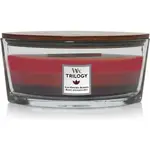 WoodWick Ellipse Trilogy Candle - Sun Ripened Berries
