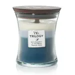 WoodWick Medium Trilogy Candle - Beachfront Cottage