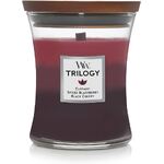 Woodwick Medium Trilogy Candle - Sun Ripened Berries