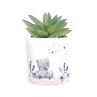 Tatty Teddy Me To You Artificial Succulent