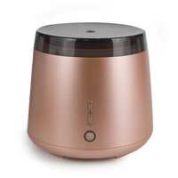 Aroma Elm Diffuser By Lively Living - Metallic Bronze