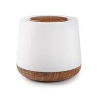 Aroma Home Diffuser By Lively Living